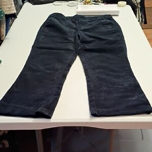 Joie Navy  Corduroy Flare Pants